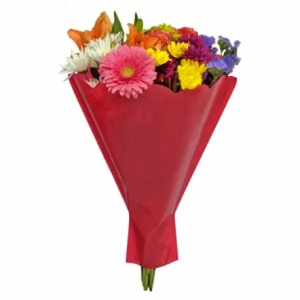 Bolsa Bouquet Victoria (Roja) 50x44x12 cm