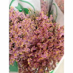 Limonium Sinensis Rosa (25 Tallos)