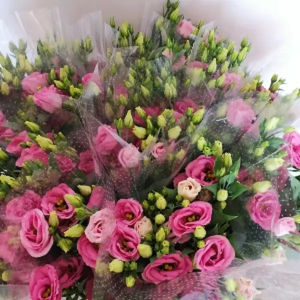 Lisianthus Rosa (5 Tallos)