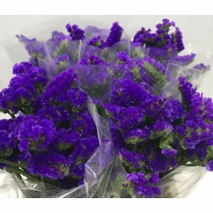 Statice Azul (5 Tallos)