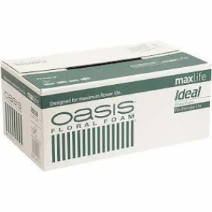 Esponja Para Flor Natural Oasis (16 Esponjas)