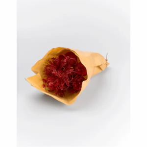 Ramo Seco Navidad