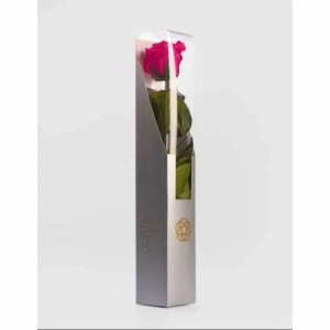Rosa Preservada Con Tallo 30 CM Rosa Preservada Con Tallo 30 CM