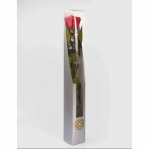 Rosa Preservada Con Tallo 55 cm