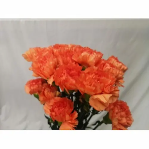 Clavel Colombiano Fancy Naranja (20 Tallos)