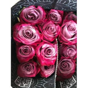Rosa Ecuador Deep Purple (25 Tallos)