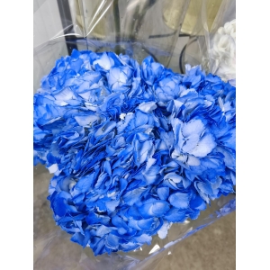 Hortensia Azul (1 Tallo)