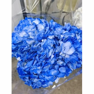 Hortensia Azul (5 Tallos)